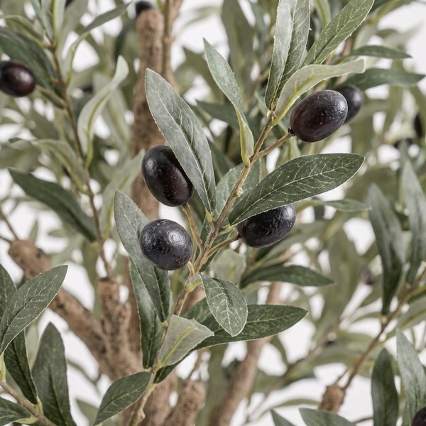 Kunst Olijfboom – Olea europaea – Olijfboom – 180 cm