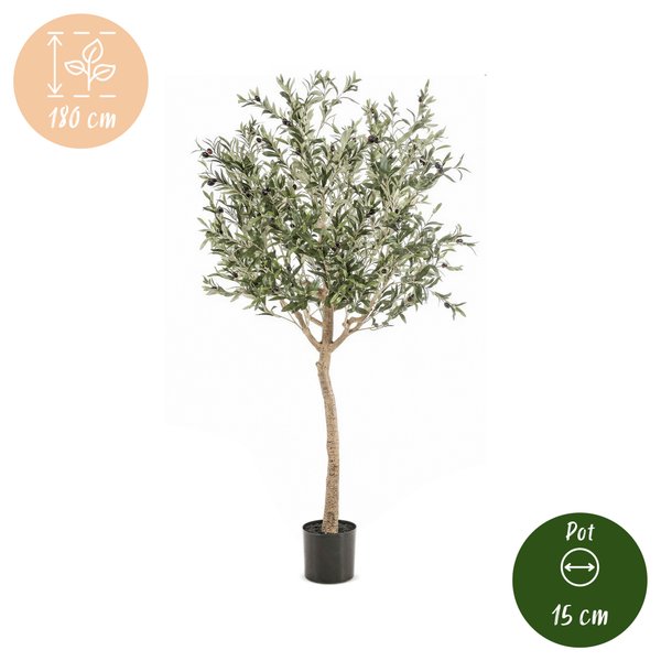 Kunst Olijfboom – Olea europaea – Olijfboom – 180 cm