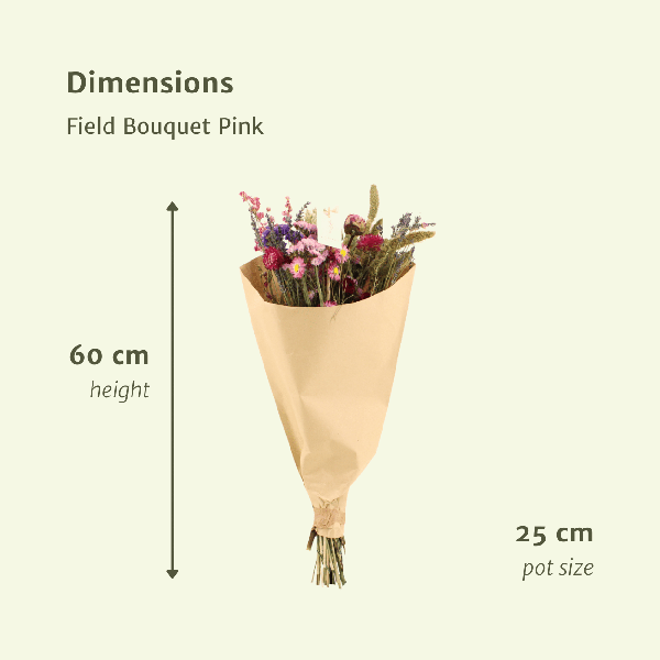 Droogbloemen Field Bouquet Pink – Ø25cm – ↕60cm