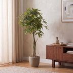 Kunstplant – Pachira Aquatica – Geldboom – 150 cm