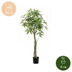 Kunstplant – Pachira Aquatica – Geldboom – 150 cm