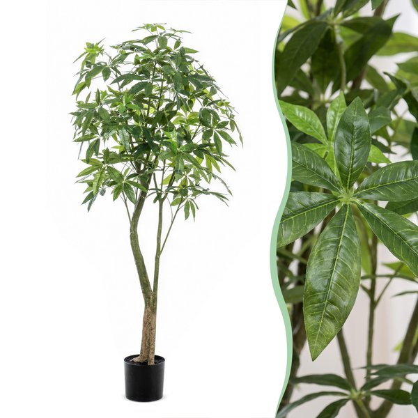 Kunstplant – Pachira Aquatica – Geldboom – 180 cm