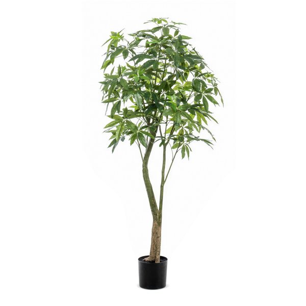 Kunstplant – Pachira Aquatica – Geldboom – 180 cm