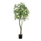 Kunstplant – Pachira Aquatica – Geldboom – 180 cm