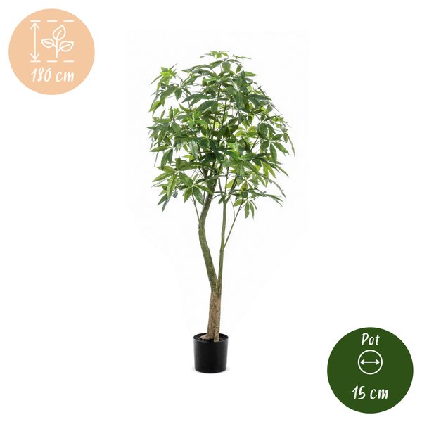 Kunstplant – Pachira Aquatica – Geldboom – 180 cm