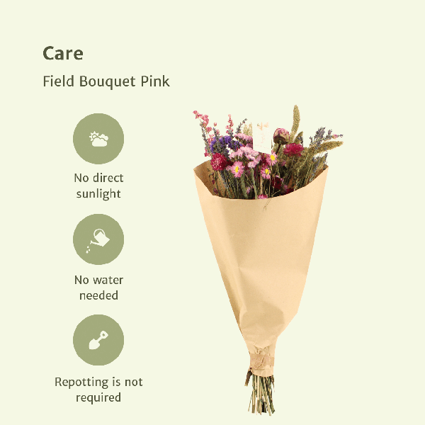 Droogbloemen Field Bouquet Pink – Ø25cm – ↕60cm