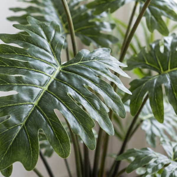 Kunstplant – Philodendron – 80 cm