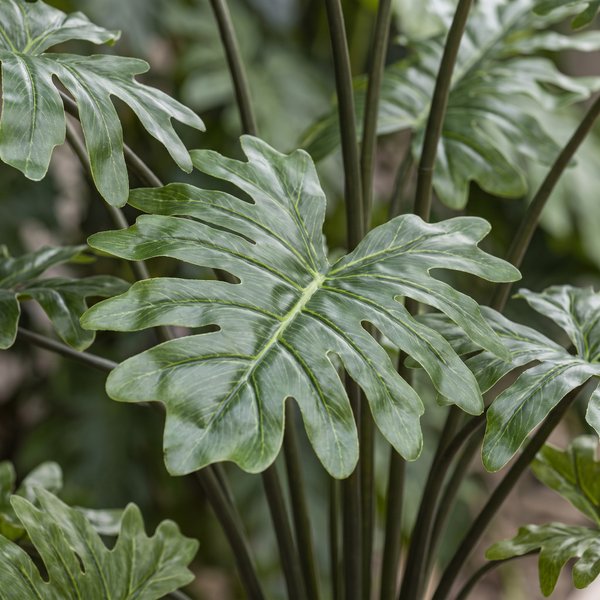 Kunstplant – Philodendron – 105 cm
