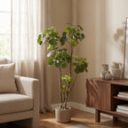 Kunstplant – Polyscias – Aralia – 135 cm