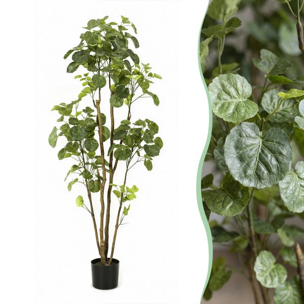 Kunstplant – Polyscias – Aralia – 160 cm