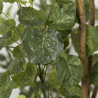 Kunstplant – Polyscias – Aralia – 160 cm