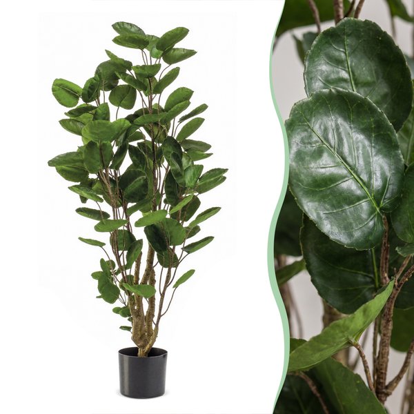 Kunstplant – Polyscias – Aralia – 105 cm