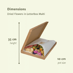 Droogbloemen in Letterbox – Multi