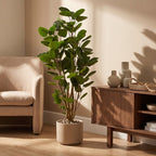 Kunstplant – Polyscias – Aralia – 105 cm