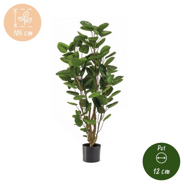 Kunstplant – Polyscias – Aralia – 105 cm