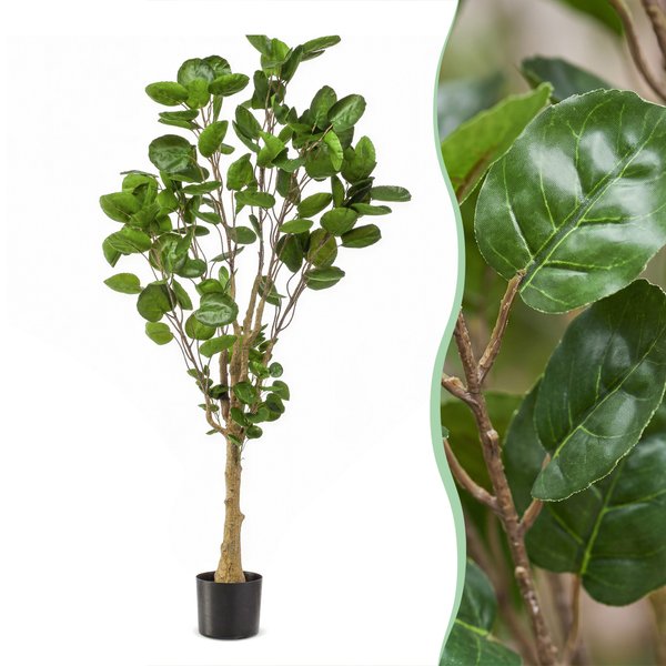 Kunstplant – Polyscias – Aralia – 150 cm
