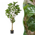 Kunstplant – Polyscias – Aralia – 150 cm