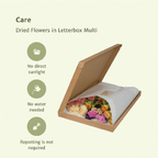 Droogbloemen in Letterbox – Multi