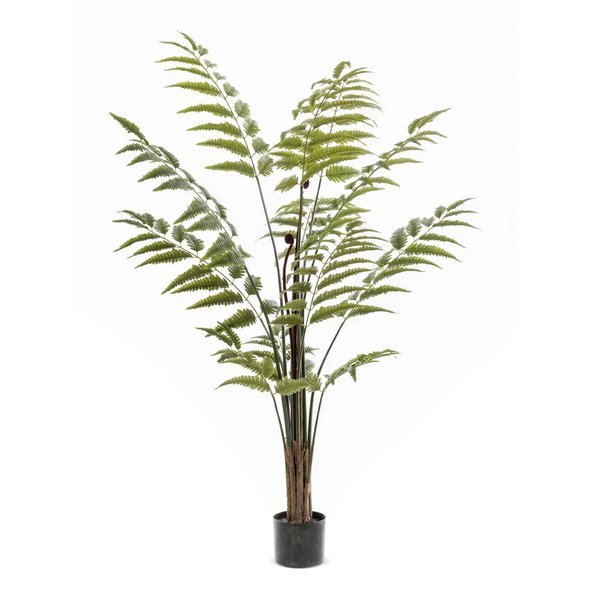 Kunstplant – Rumohra Adiantiformis – Ledervaren – 150 cm