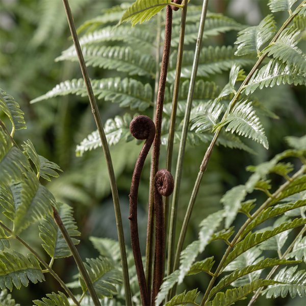 Kunstplant – Rumohra Adiantiformis – Ledervaren – 150 cm