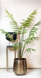 Kunstplant – Rumohra Adiantiformis – Ledervaren – 180 cm
