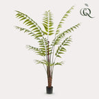 Kunstplant – Rumohra Adiantiformis – Ledervaren – 180 cm