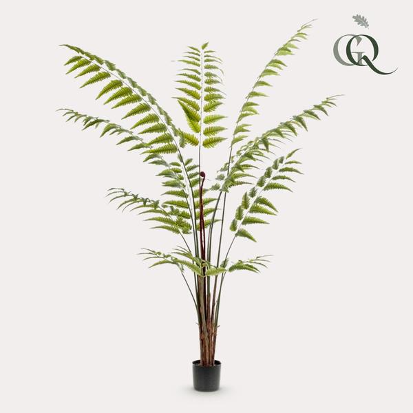 Kunstplant – Rumohra Adiantiformis – Ledervaren – 180 cm