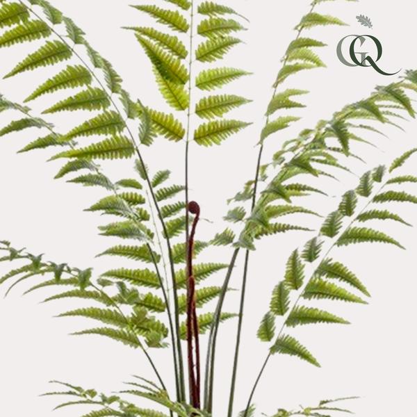 Kunstplant – Rumohra Adiantiformis – Ledervaren – 180 cm