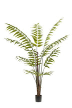 Kunstplant – Rumohra Adiantiformis – Ledervaren – 180 cm