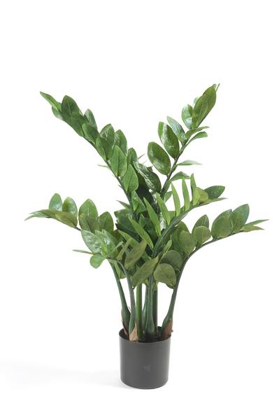 Kunstplant – Zamioculcas – Kamerpalm – 70 cm