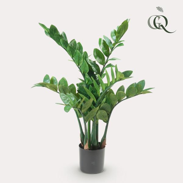 Kunstplant – Zamioculcas – Kamerpalm – 70 cm