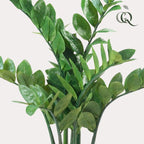 Kunstplant – Zamioculcas – Kamerpalm – 70 cm
