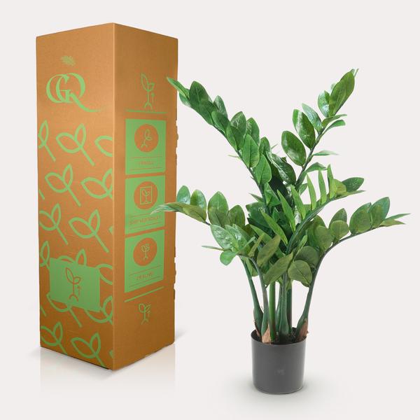 Kunstplant – Zamioculcas – Kamerpalm – 70 cm