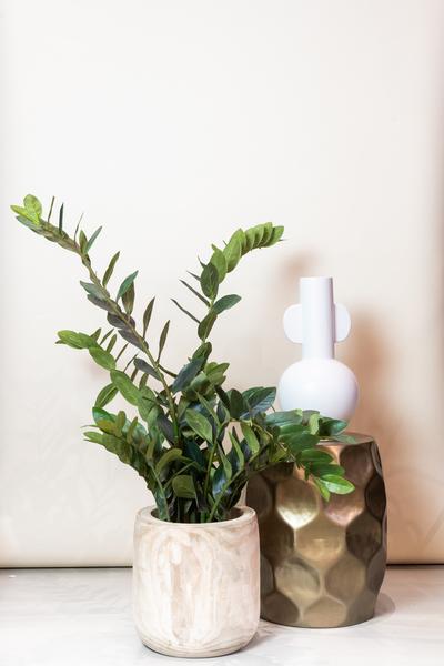 Kunstplant – Zamioculcas – Kamerpalm – 110 cm