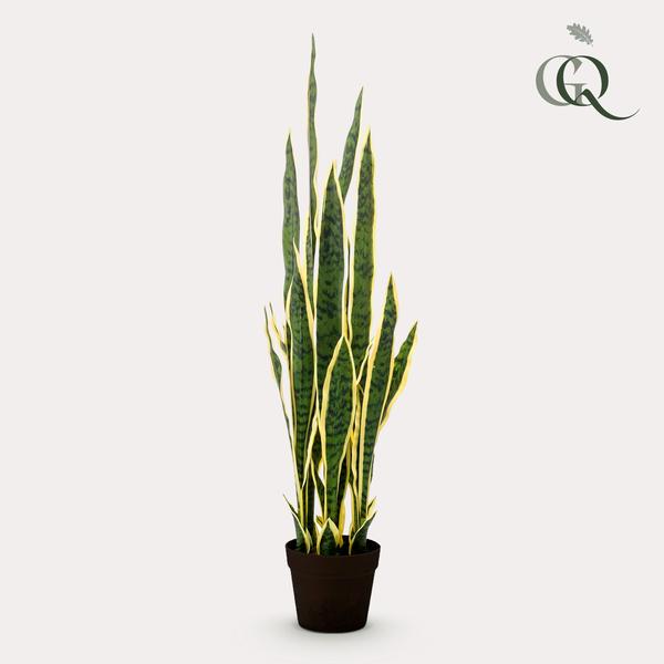Kunstplant – Sanseveria Trifasciata – Vrouwentong – 97 cm