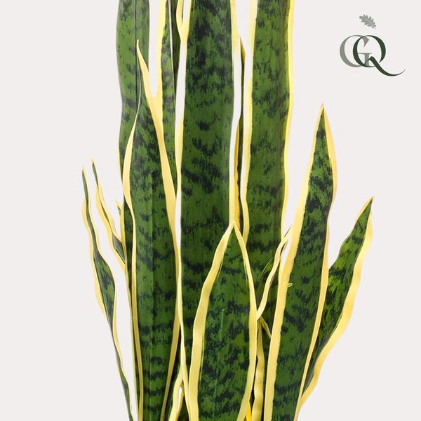 Kunstplant – Sanseveria Trifasciata – Vrouwentong – 97 cm