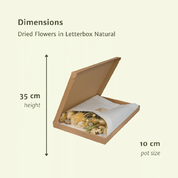 Droogbloemen in Letterbox – Natural