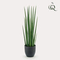Kunstplant – Sanseveria Cylindrica – Vrouwentong – 70 cm