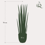 Kunstplant – Sanseveria Cylindrica – Vrouwentong – 70 cm