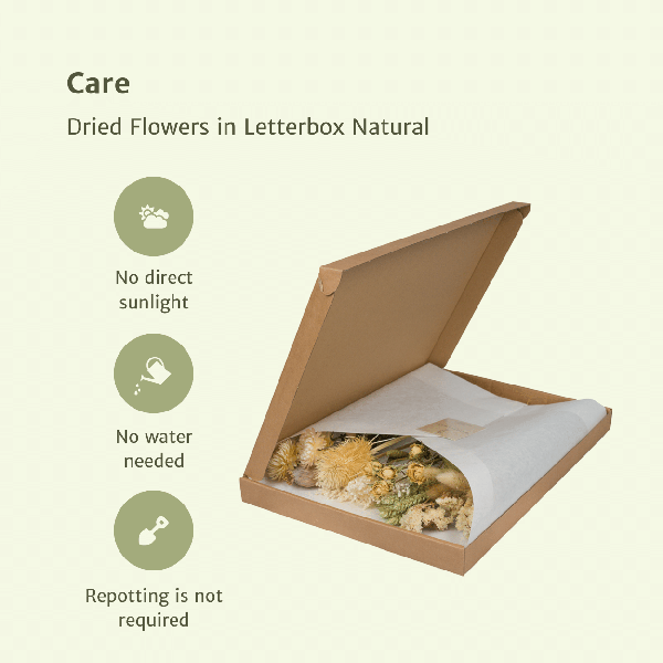 Droogbloemen in Letterbox – Natural