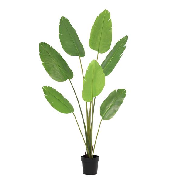 ARTIFICIAL Strelitzia Nicolai – 170cm