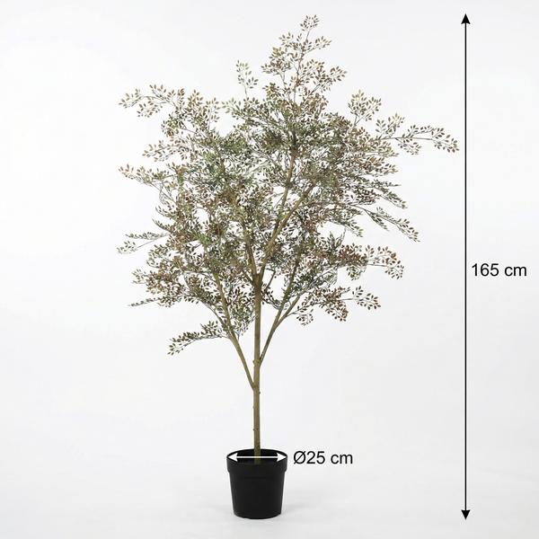 ARTIFICIAL Bucida – 165cm