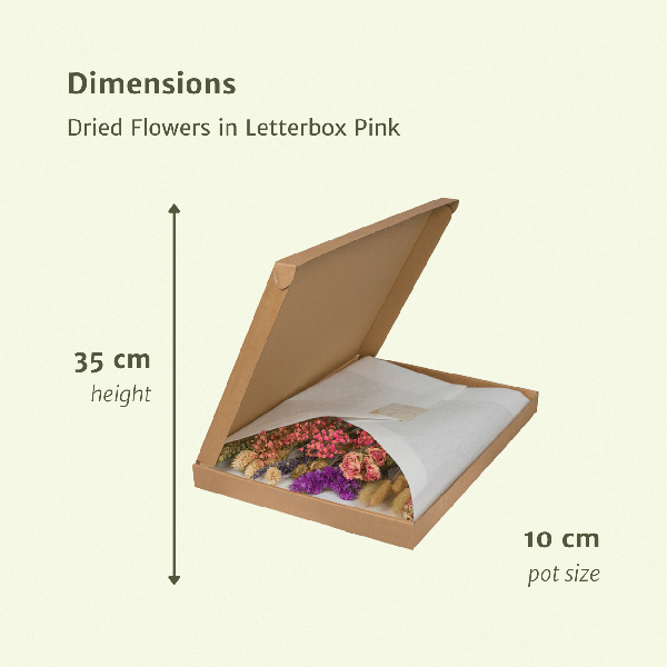 Droogbloemen in Letterbox – Pink