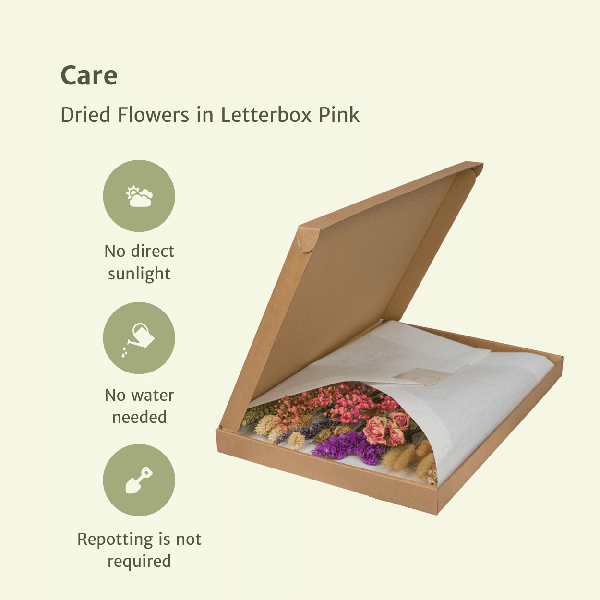 Droogbloemen in Letterbox – Pink