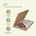 Droogbloemen in Letterbox – Pink