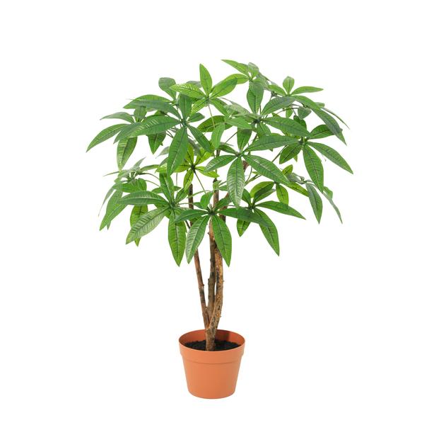 ARTIFICIAL Pachira Aquatica – 86cm