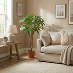 ARTIFICIAL Pachira Aquatica – 86cm