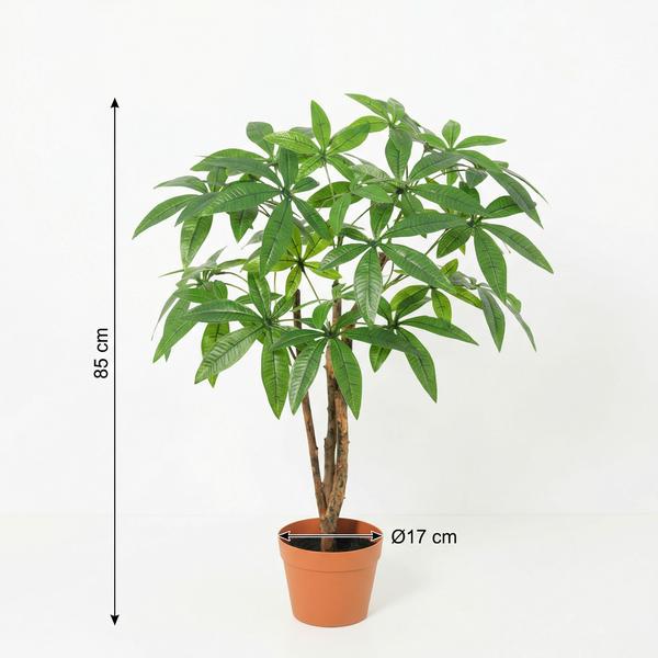 ARTIFICIAL Pachira Aquatica – 86cm