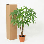 ARTIFICIAL Pachira Aquatica – 86cm