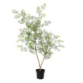 ARTIFICIAL Bucida – 71cm